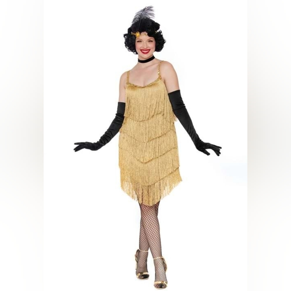 NIB Womens Dreamgirl Good Time Gal Flapper 20s Costume- M- Halloween, Cosplay